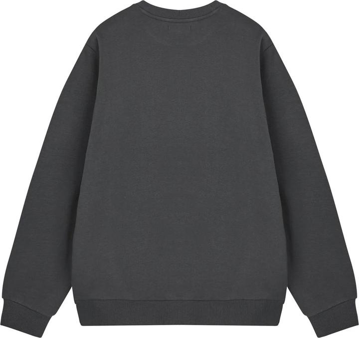 Actual product image Sonic The Hedgehog Mens World's Fastest Sweatshirt (L)
