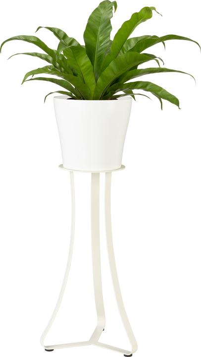 Produktbild Scheurich Paris 51, Pflanzenständer/Blumenständer/Blumentopfständer/Postament aus Metall Farbe: Whit