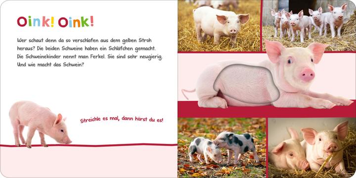 Actual product image Hör mal rein, wer kann das sein - Im Stall (German)