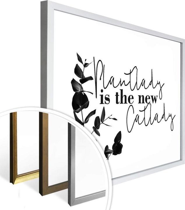 Produktbild Trenddeko Plantlady is the new catlady (50 x 40 cm)