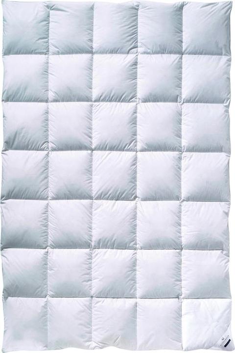 Produktbild Billerbeck Clivia 90 (155 x 220 cm)