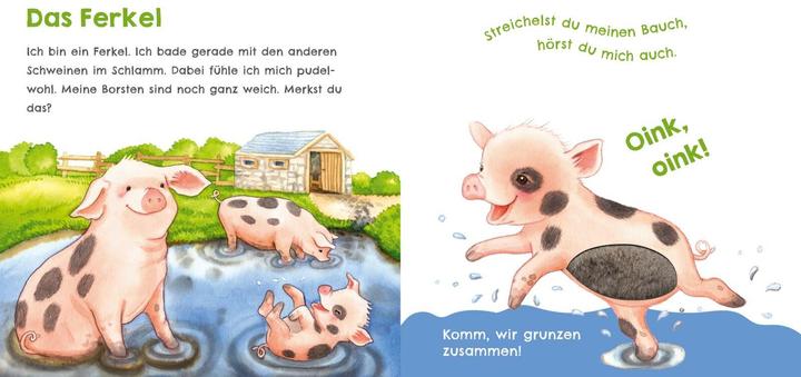 Image du produit Hör mal, wie ich schnattern kann (Mein erstes Streichel-Soundbuch 1) (Allemand)