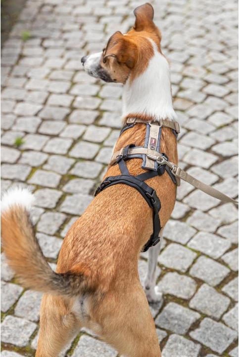 Immagine prodotto Trixie Panik-Adapter Stay für Geschirre M-L (Cane, Generale)