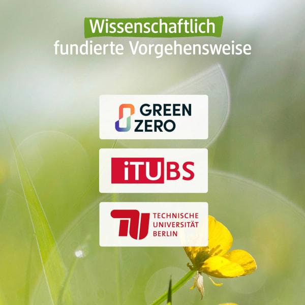 Produktbild dm Jessa Ultra-Binden Nature Active Shape (Damenbinden)