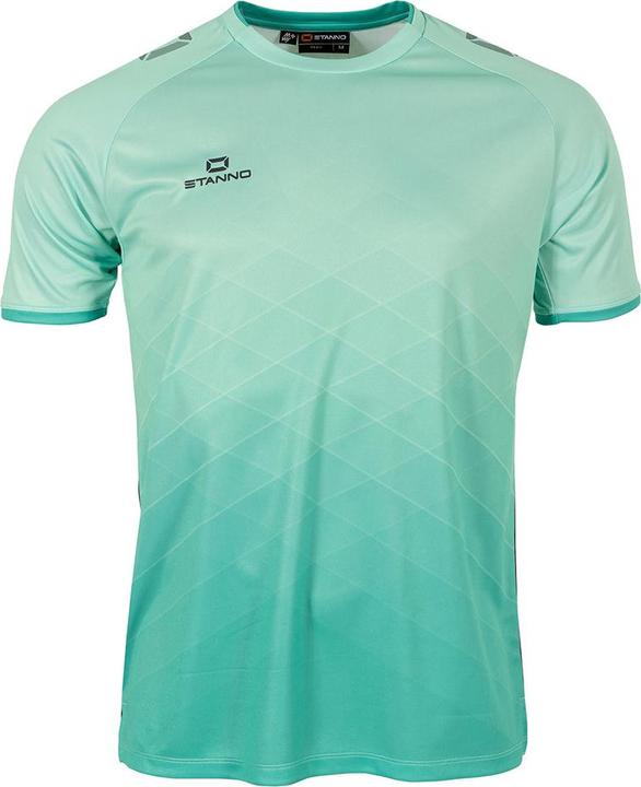 Actual product image Stanno Altius Jersey (140)