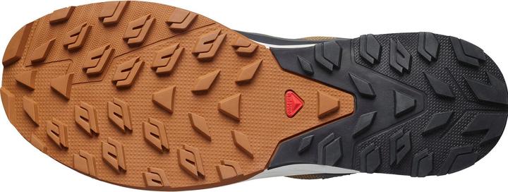 Image du produit Salomon Outrise GTX (42)