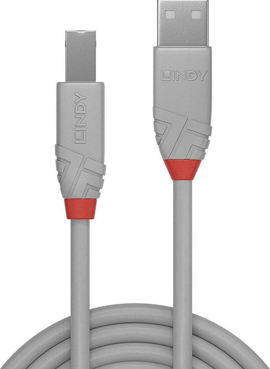 Actual product image Lindy USB/A-USB/B M-M (3 m, USB 2.0)