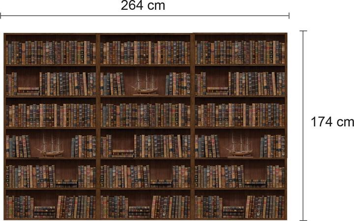 Actual product image Walplus Wall tattoo vintage bookshelf wall sticker 3 pieces WS8004 (58 x 88 cm)