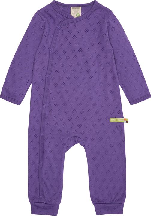 Viola