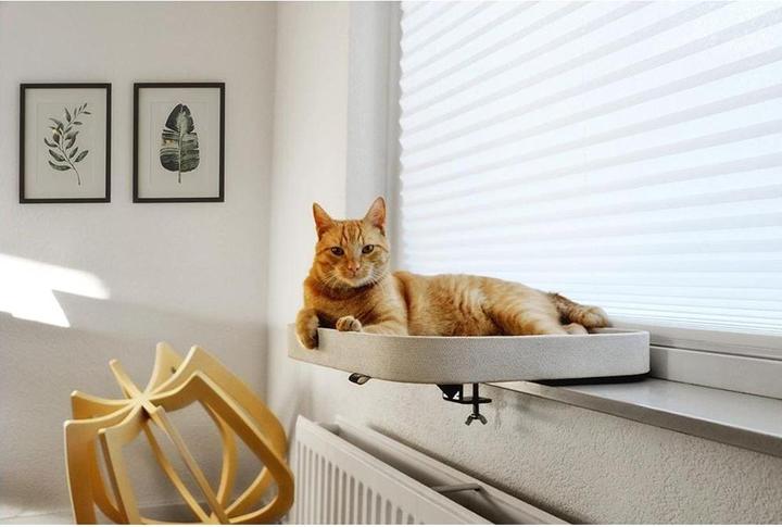 Actual product image EBI Window bed KYO, 50 x 40 cm (Cat)