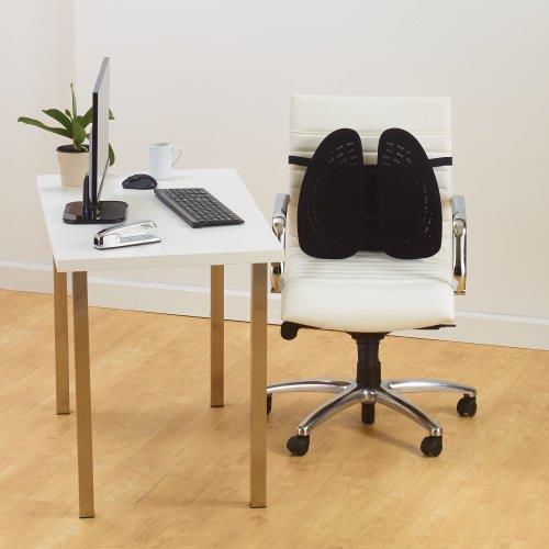 Immagine prodotto Kensington K60412WW SmartFit supporto posteriore regolabile