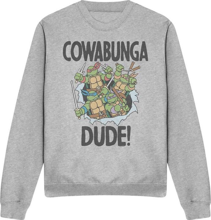 Image du produit Teenage Mutant NT - Sweat COWABUNGA DUDE - Adulte (M)