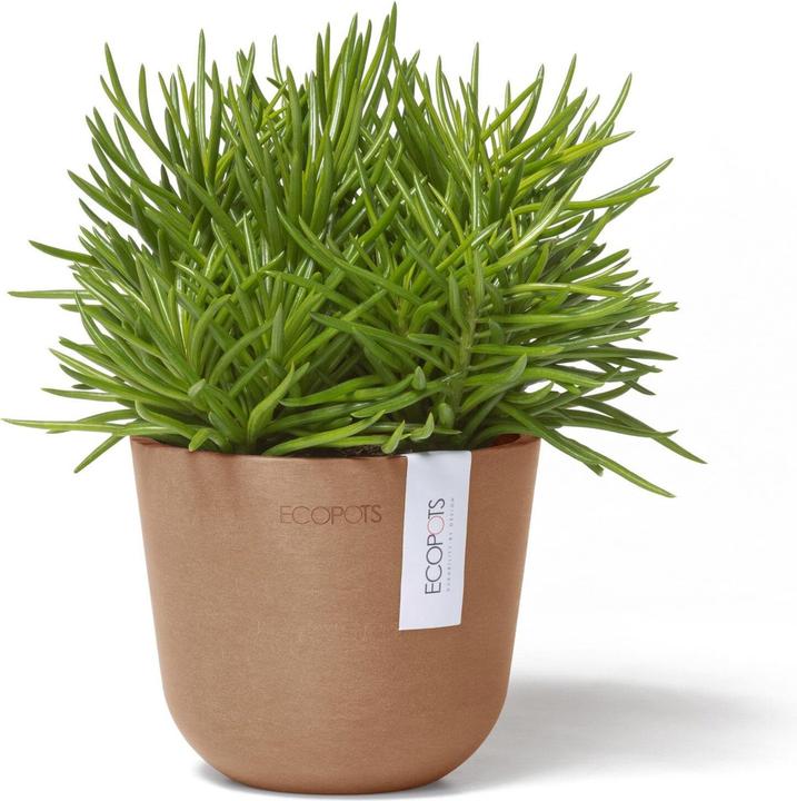 Image du produit Ecopots Oslo Mini (11.50 cm)