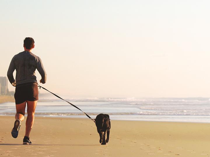 Actual product image PawLove Paw Love - Walking Leash with Belt, Hands-Free, Elasticated, Dog (Dog)