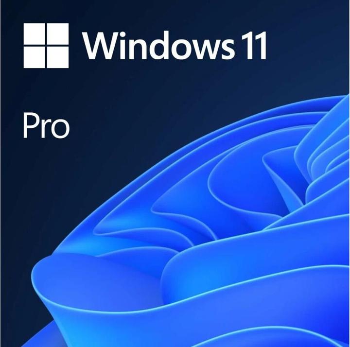 Microsoft Windows 11 Pro (1 Utilisateur, Illimité)