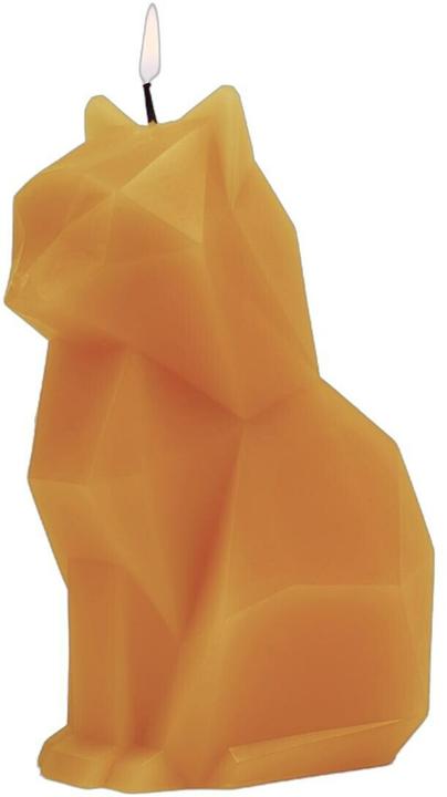 Image du produit 54Celsius PyroPet Kisa (1 pcs)