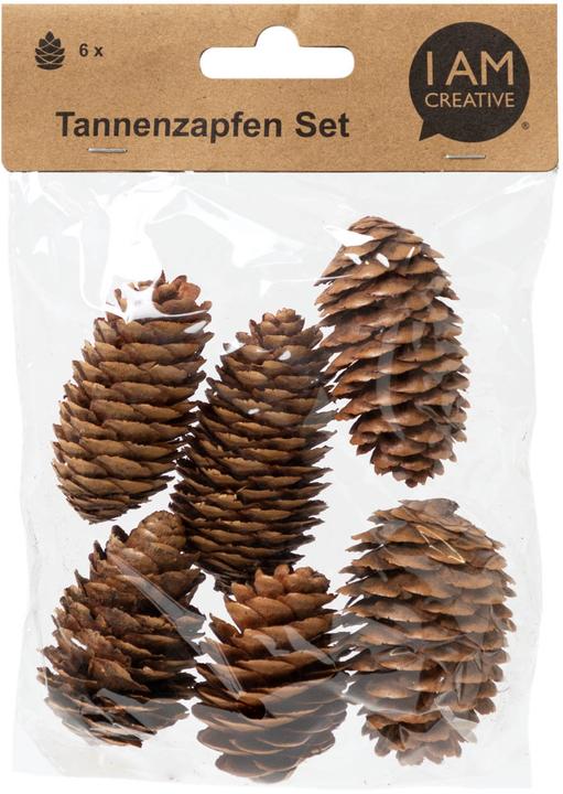 Image du produit I Am Creative Set de pommes de pin