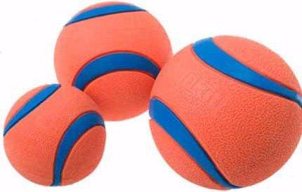 Actual product image Chuckit! Chuck It Ball L Rubber Ball (Dog chew toy)