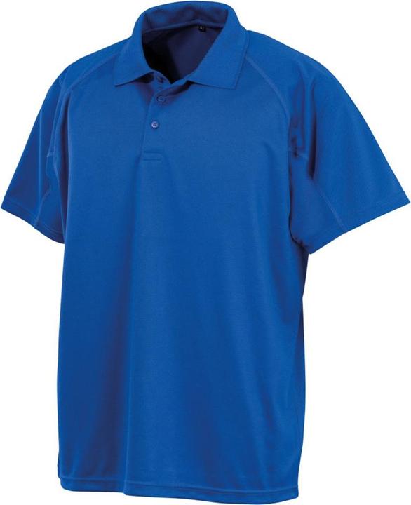 Bleu roi