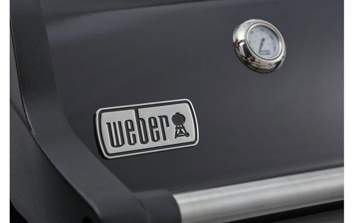 Image du produit Weber Spirit E-325S GBS (2024) (9.38 kW)