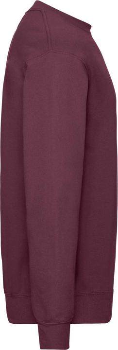Image du produit Fruit of the Loom - Sweat CLASSIC - Homme (M)