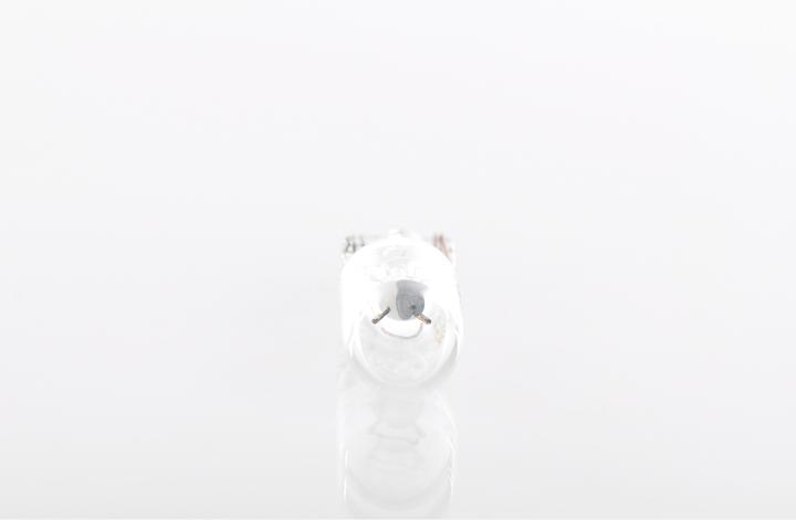 Actual product image Bosch Home & Garden GLL W5W Longlife