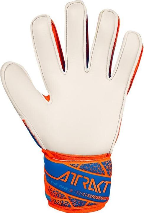 Actual product image Reusch Football Attrakt Solid (4.5)