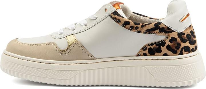 Actual product image Gabor 66-408 (35.5)