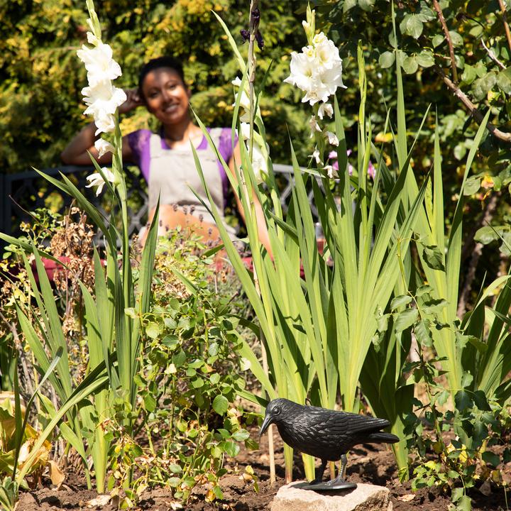Image du produit Relaxdays Corbeau