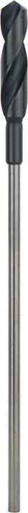 Actual product image Bosch Professional Zubehör PRO Wood HSS installation drill bit, 22 x 100 x 400 mm (22 mm)