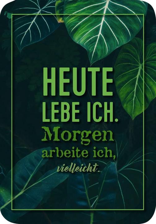 Actual product image Ach, wie gut, dass niemand weiss, auf wen und was ich alles sch***! (German, 2023)