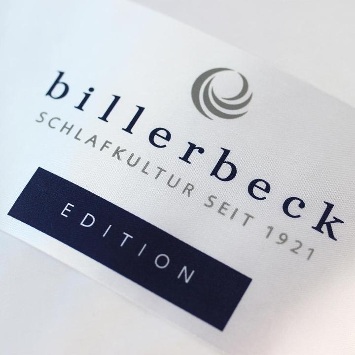 Produktbild Billerbeck Daunendecke E23 Inga Kassette II warm, Füllung: 90% Daunen, 10% Federn (900 g, 155 x 220 cm)