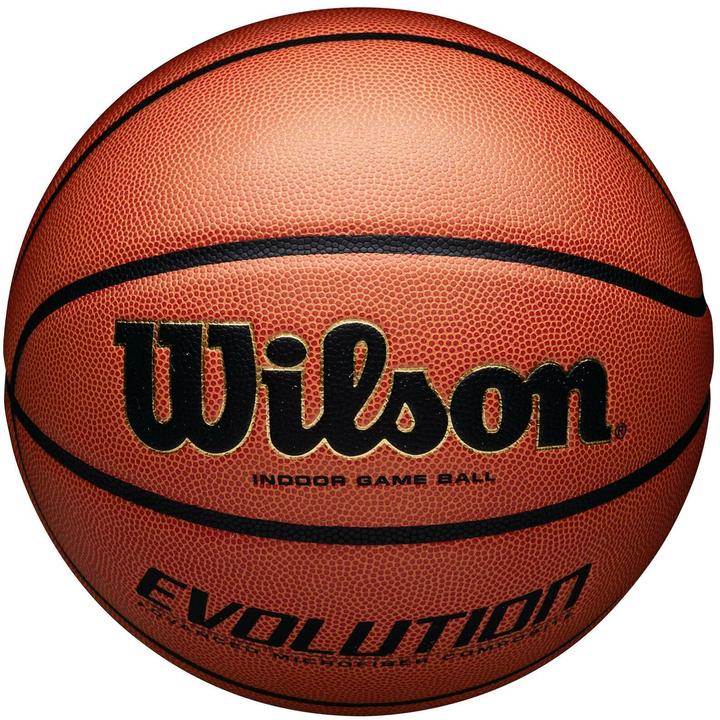 Wilson Evolution Game Ball (7)