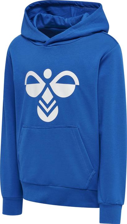 Actual product image hummel Cuatro Hoodie (176)