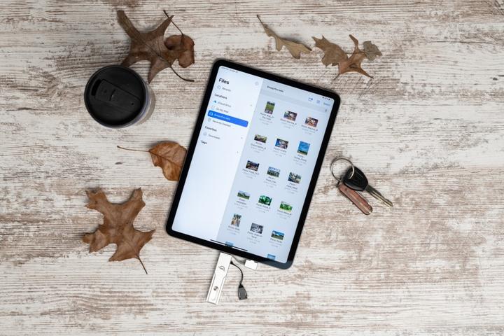 Produktbild OWC Envoy Pro mini (1000 GB)