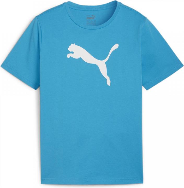 Actual product image Puma teamRISE Logo Jersey Cotton Jr (140)