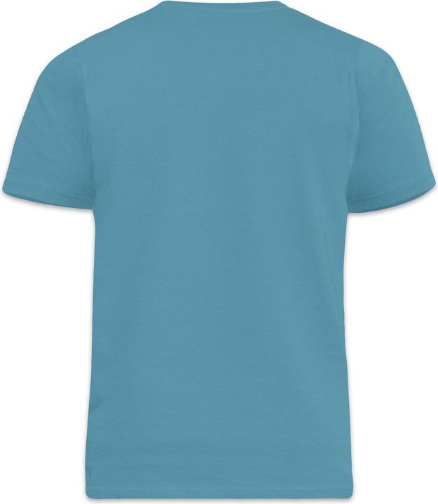 Immagine prodotto DUKE UTDC170 P (6XL)