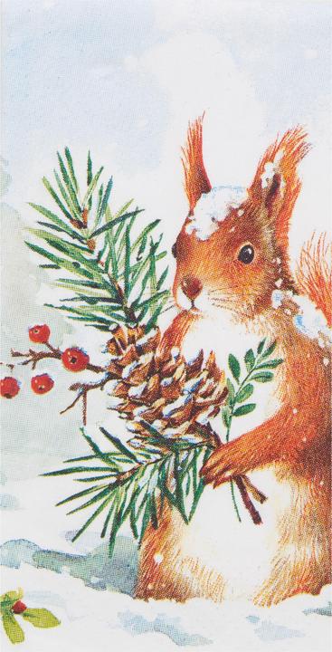 Produktbild IHR Papiertaschentücher "Roger"