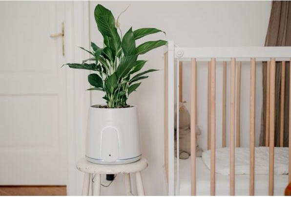 Actual product image Vitesy Natede Smart (20 m²)