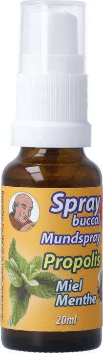 Immagine prodotto Bioligo Spray buccal Père Michel Propolis (20 ml, Spray per bocca)