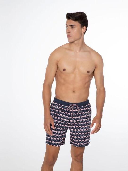 Image du produit Protest Short de plage homme PRTOHLANDER Night SkyBlue S (S)