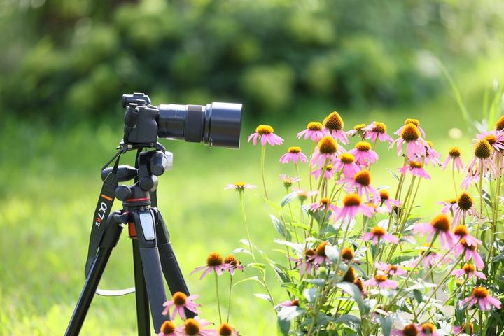 Immagine prodotto Tamron 90 mm f/2,8 Di III VC VXD Macro (Sony E, Full-frame)