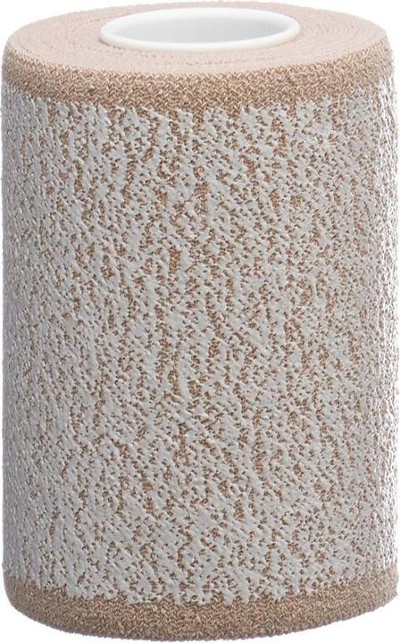 Image du produit Lohmann & Rauscher Pflasterbinde 10cmx2.5m hautfarbig (2.50 m)