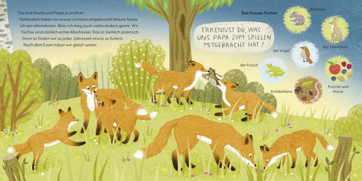 Image du produit Vous me connaissez? Je suis un renard! (Allemand)