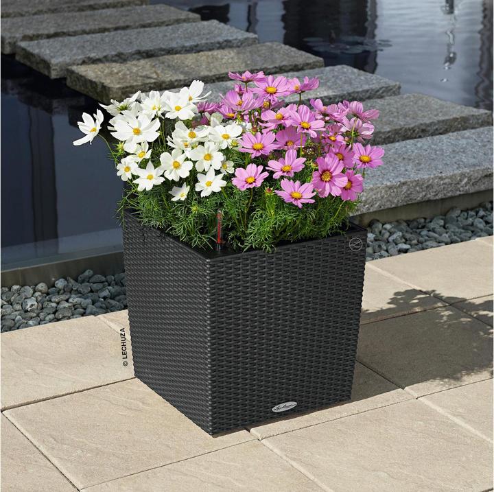Actual product image Lechuza Cube Cottage (40 cm)