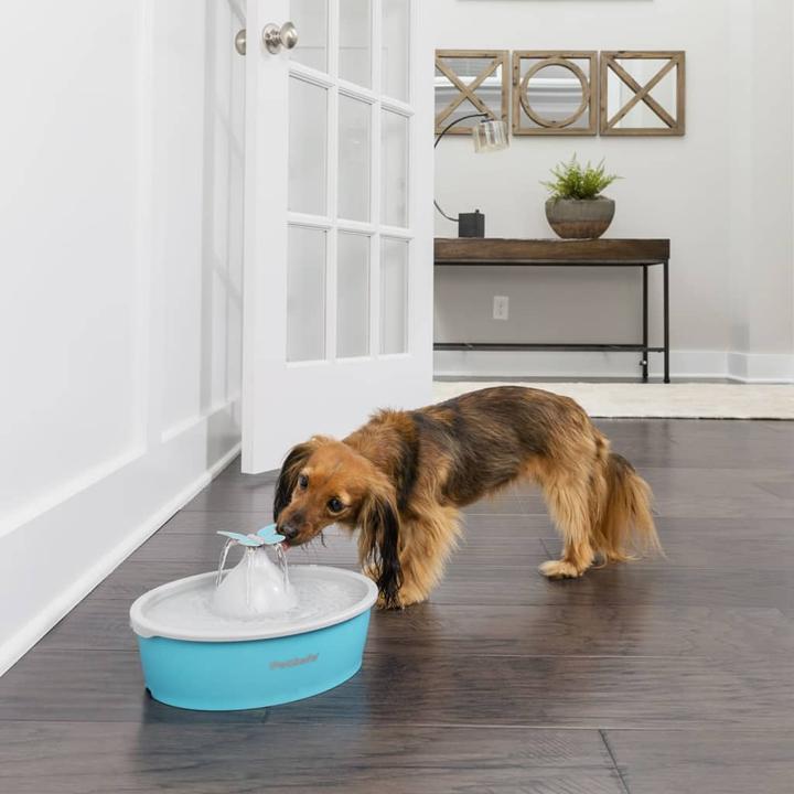 Image du produit PetSafe Fontaine pour animaux de compagnie Drinkwell® Butterfly (1.50 l)