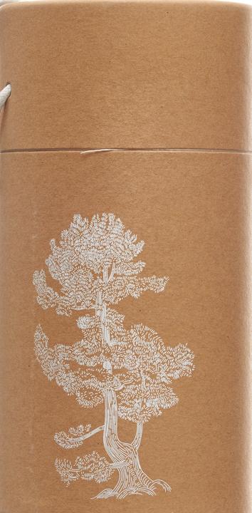 Image du produit Nature's Design Globe terrestre du Pinus Cembra (10 ml)