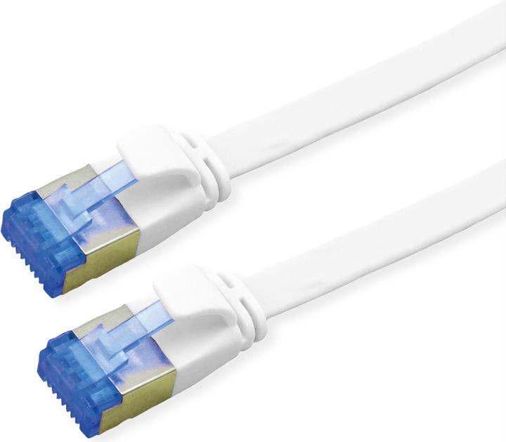 Actual product image Value Patch cable Cat.6A (Class EA) FTP (F/UTP, CAT6a, 1.50 m)