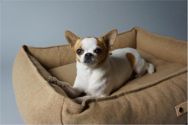 Produktbild Labbvenn Hundebett MØVIK (Hund)