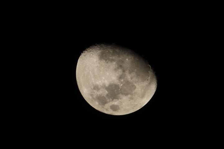 Produktbild Canon RF 800mm f/11 IS STM (Canon RF, Vollformat)